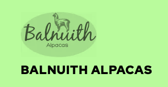 Balnuith Alpacas