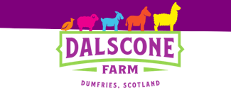 Dalscone Farm Fun