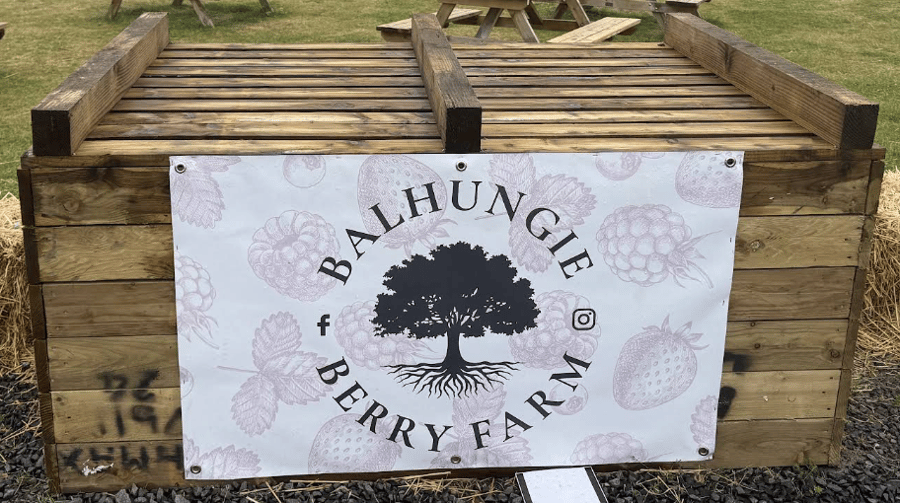 Balhungie Berry Farm